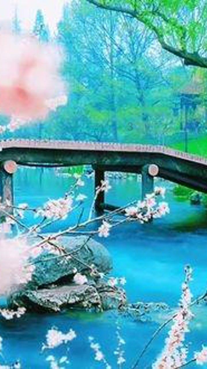 专业知识星球 - 老公总爱生闷气,他是不是太窝囊了?,进阶学习与分享平台